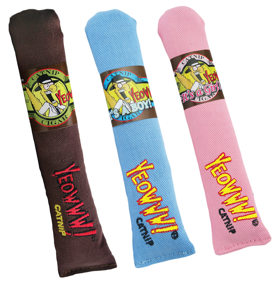 Yeowww! Cigar Bruin
