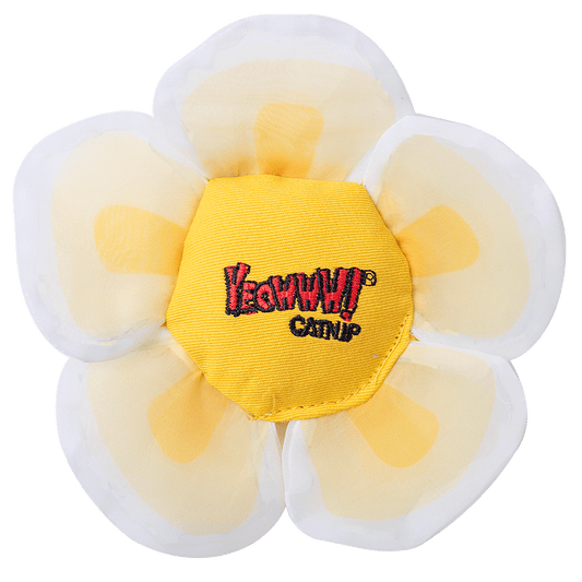 Yeowww Daisey's Flower Top White