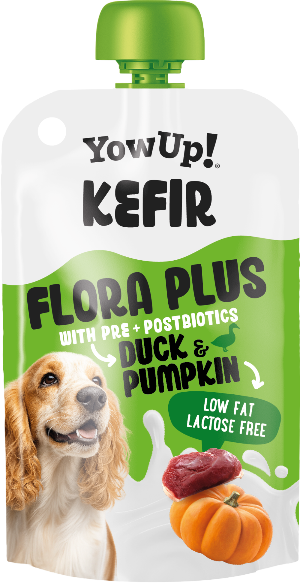 Yowup! Kefir Eend & Pompoen (hond)