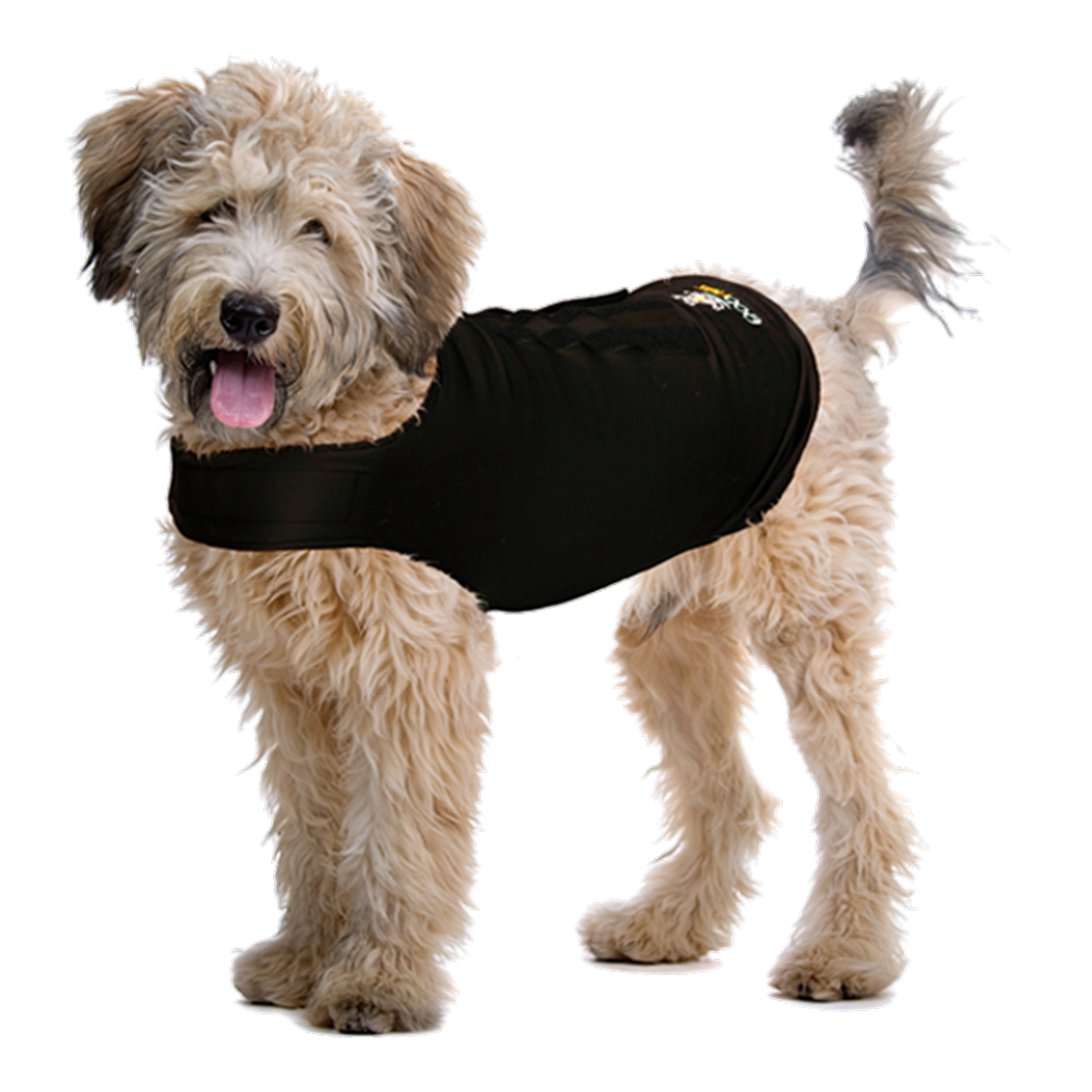 ZenDog Compression Shirt Small