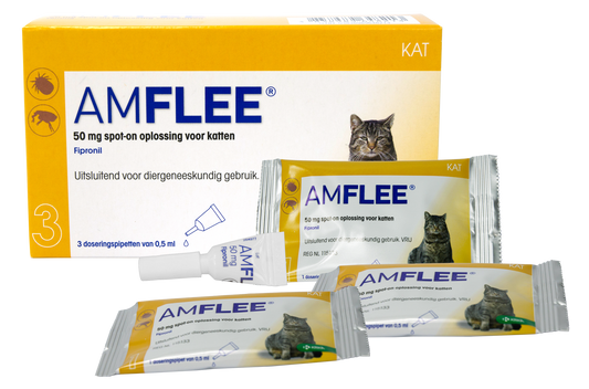 Amflee 50 mg Spot-on Kat (&gt;1kg)