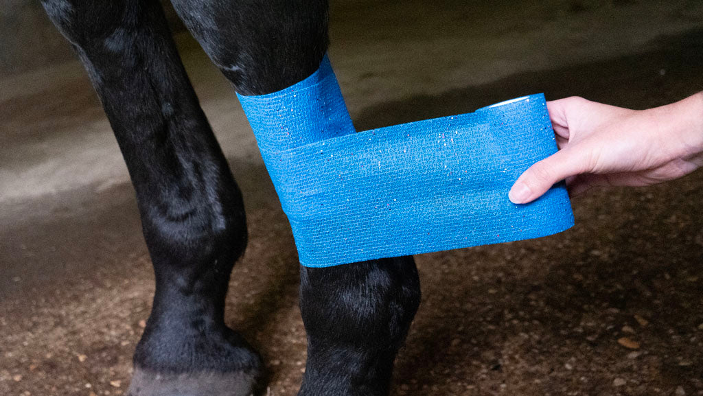 Bandage Animal Blauw Glitter Profi 10 cm