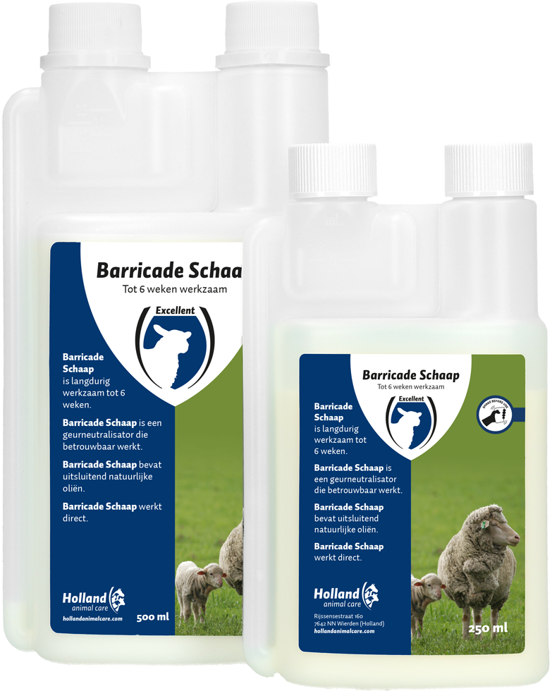 Barricade schaap