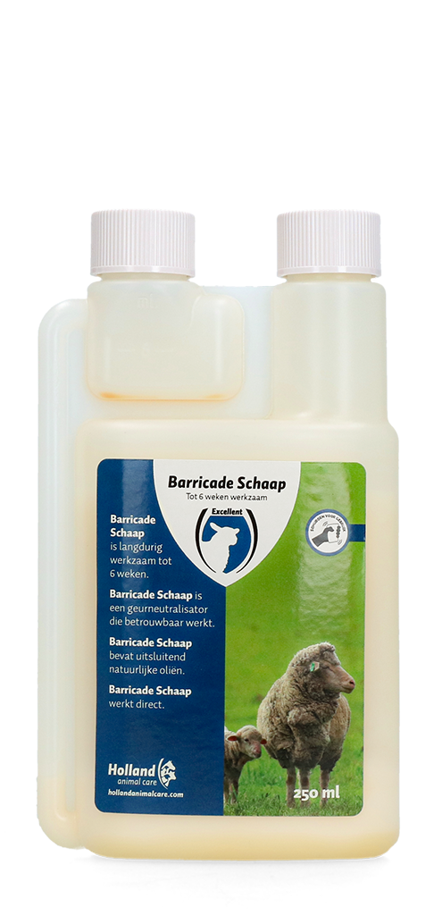 Barricade schaap