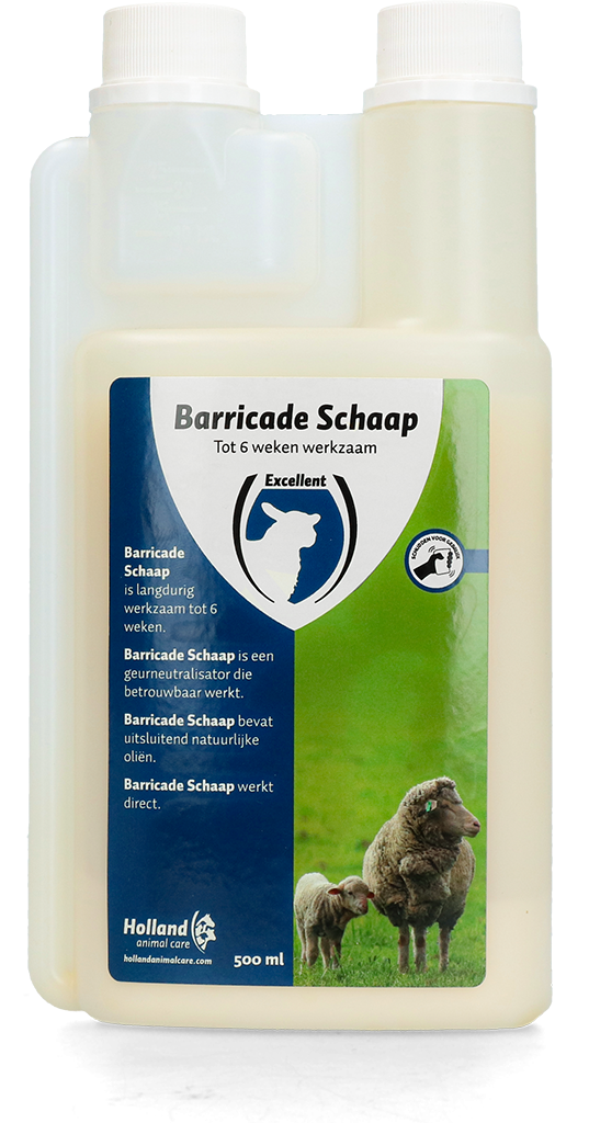 Barricade schaap