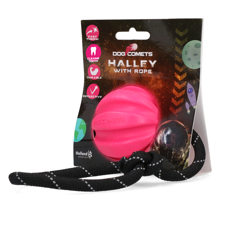 Dog Comets Ball Meteorite Roze met touw