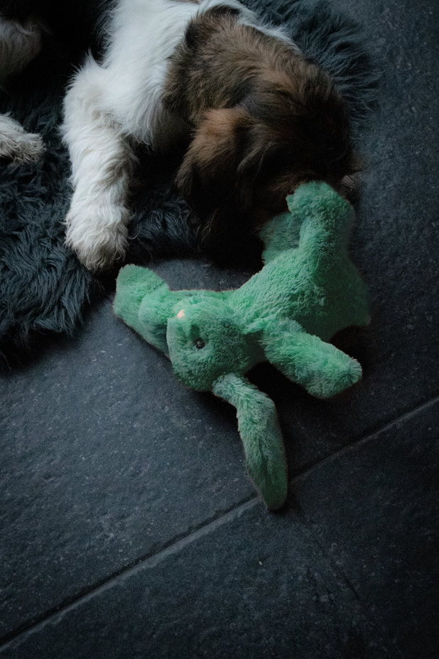 Cozy Dog Bunny Green