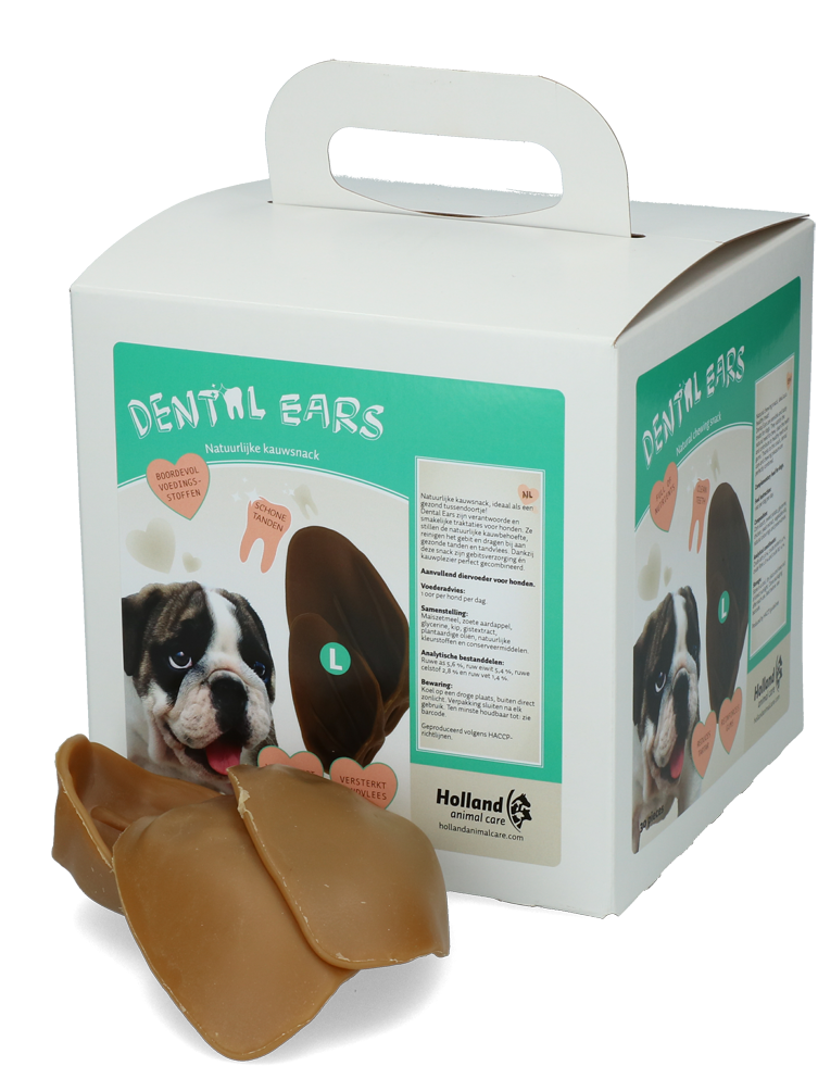 Dental Ears Large 24st