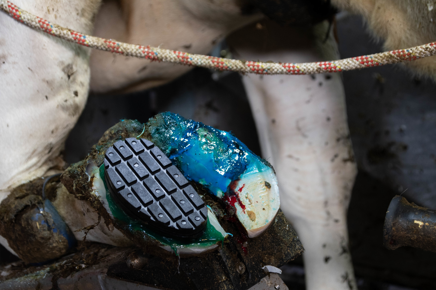 Easy Hoof Block PVC plastic "comfort"