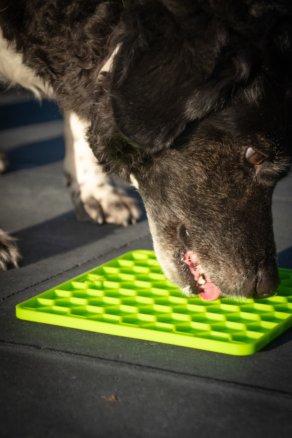 Eat Slow Live Longer Lick Mat Honeycomb Groen