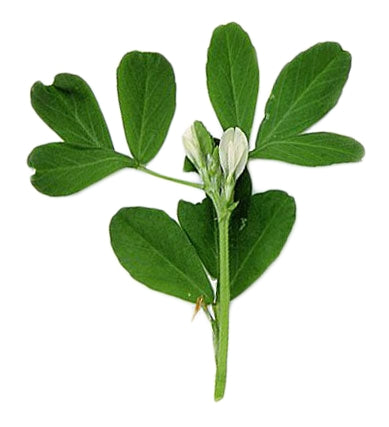 Excellent Horse Fenugreek 1 kg
