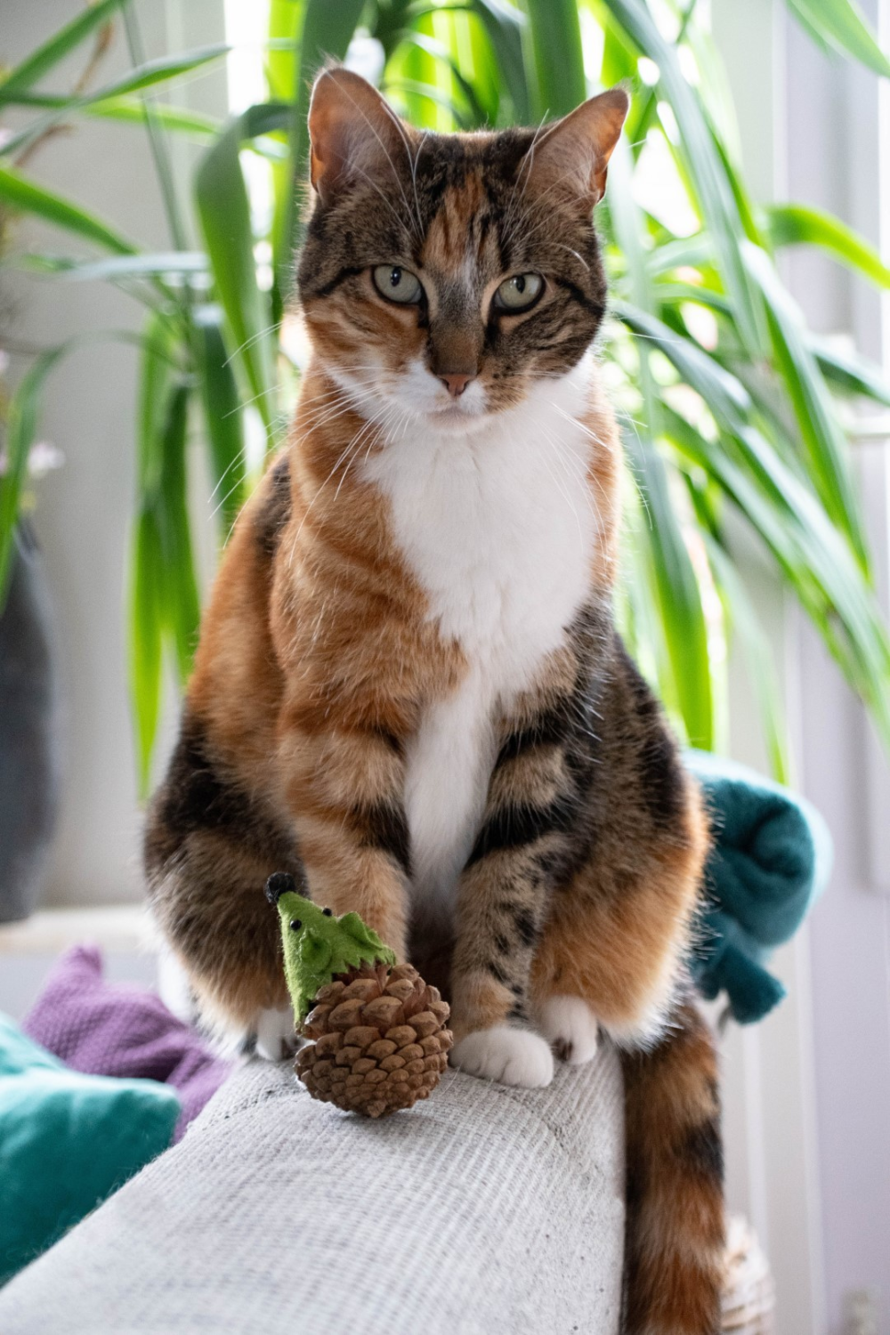 Forest Friends Mouse Green