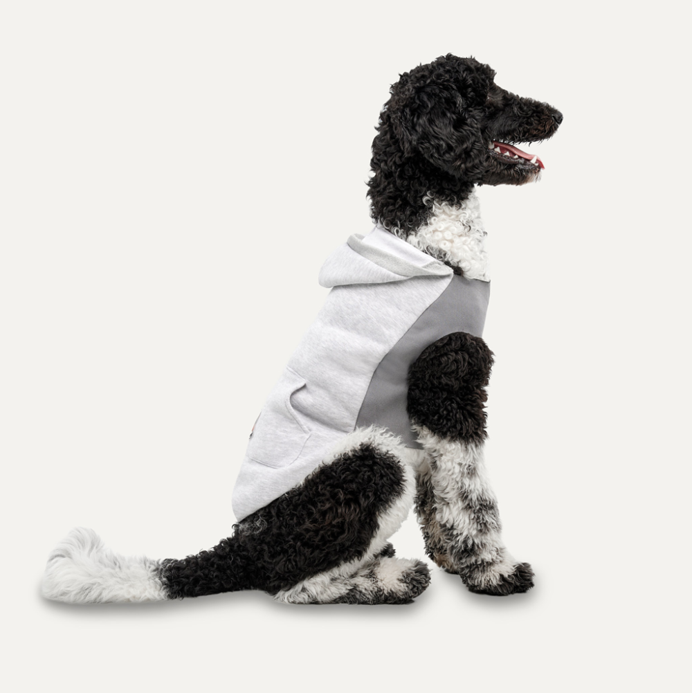 Gooeez Kangaroo Fleece Hoodie 2XS Heather Grey/Grey