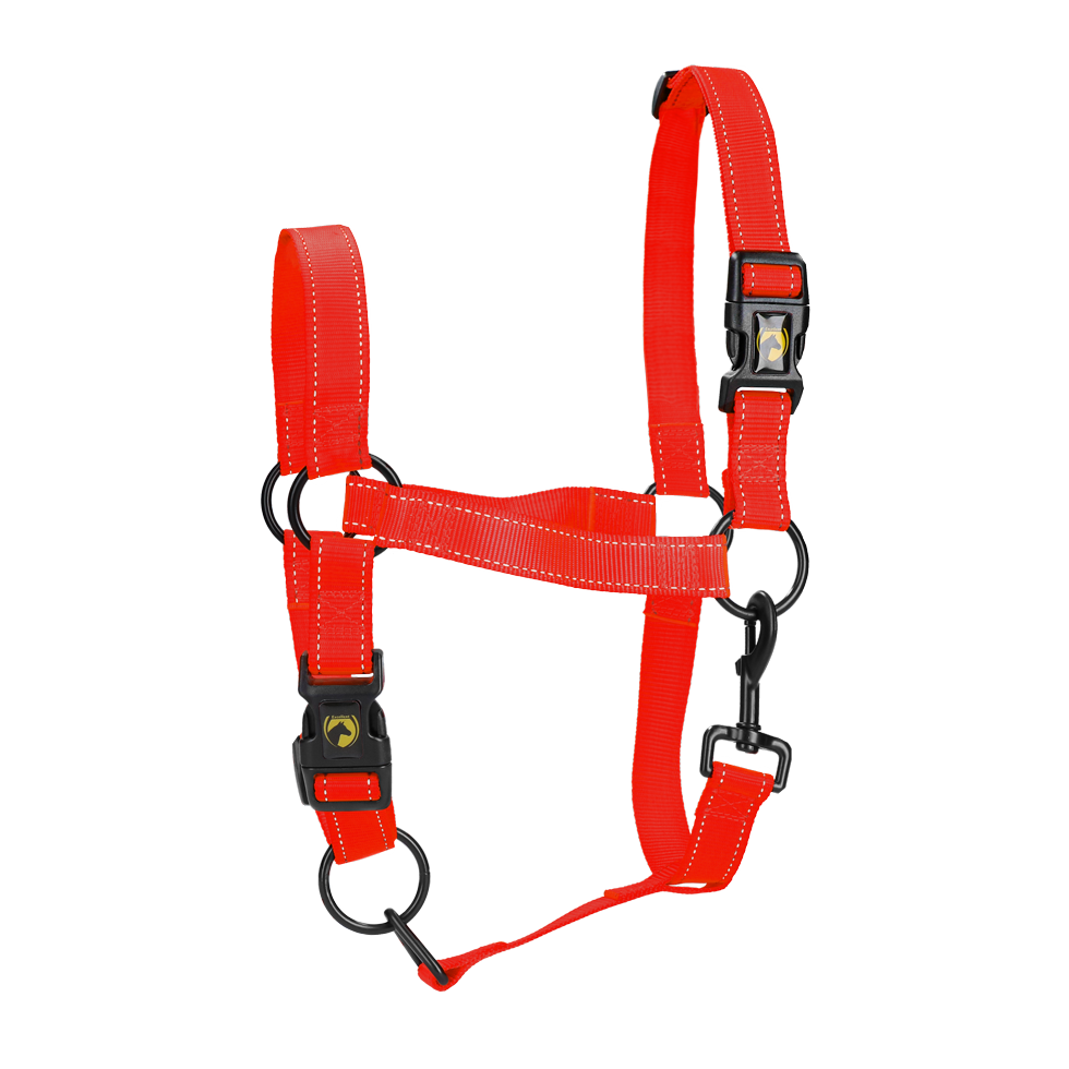 Excellent Horse Premium Halster XL Full Rood