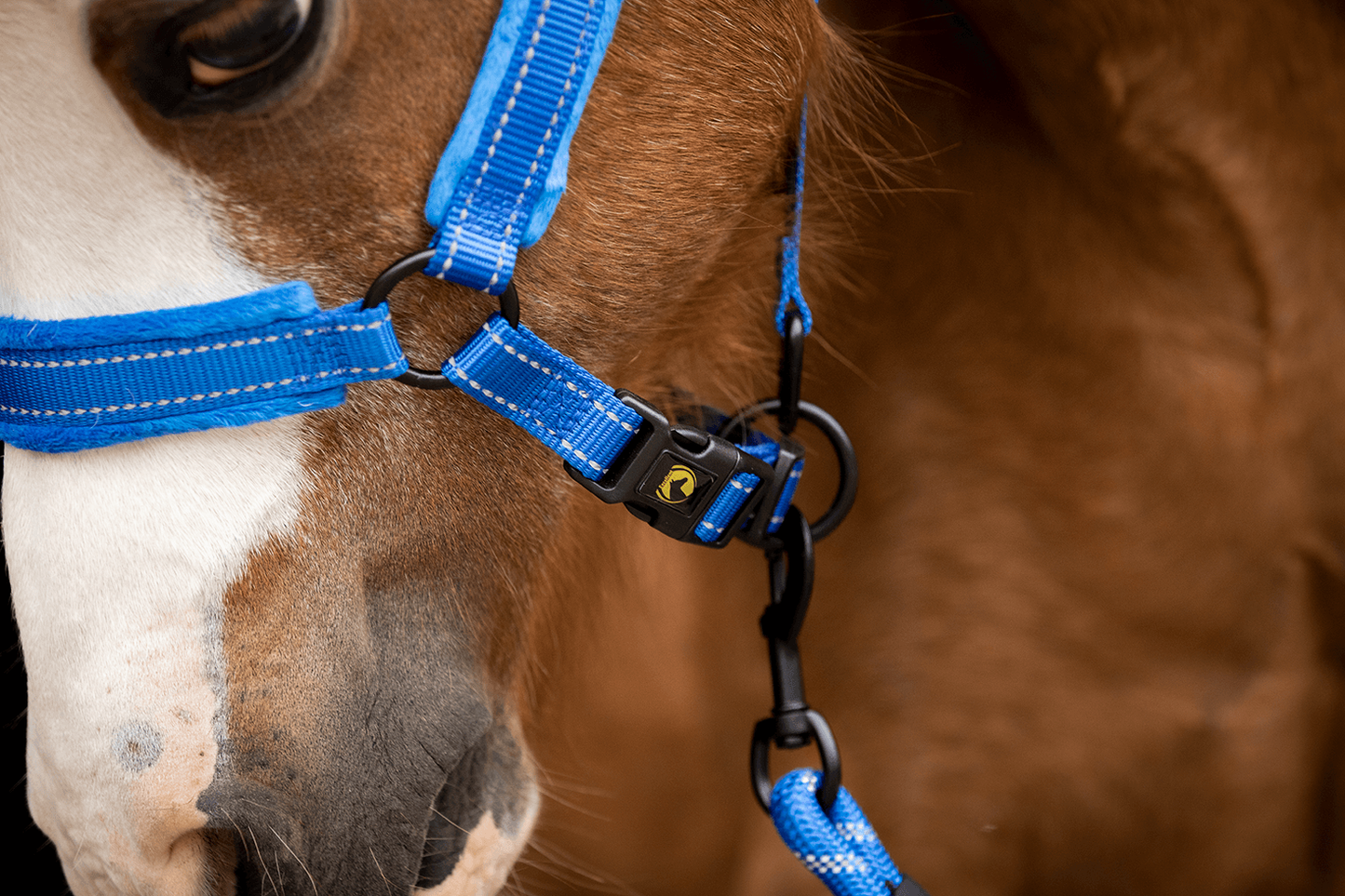 Excellent Horse Superior Halster XS Mini Foal Blauw