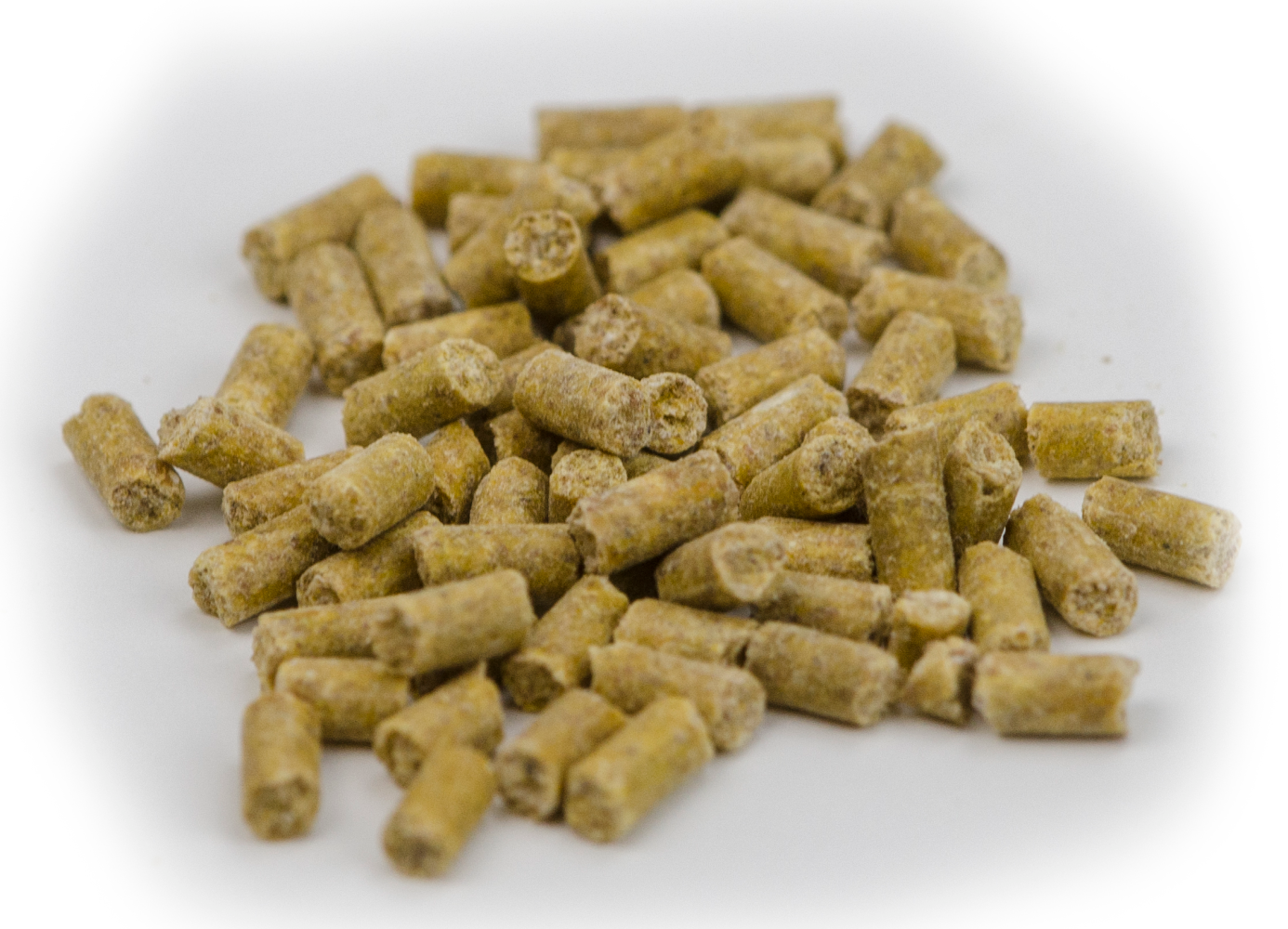 Excellent Horse Electrolytes Pellets 1 kg