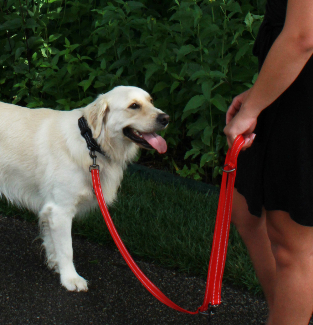 KONG Adjustable leash M Black