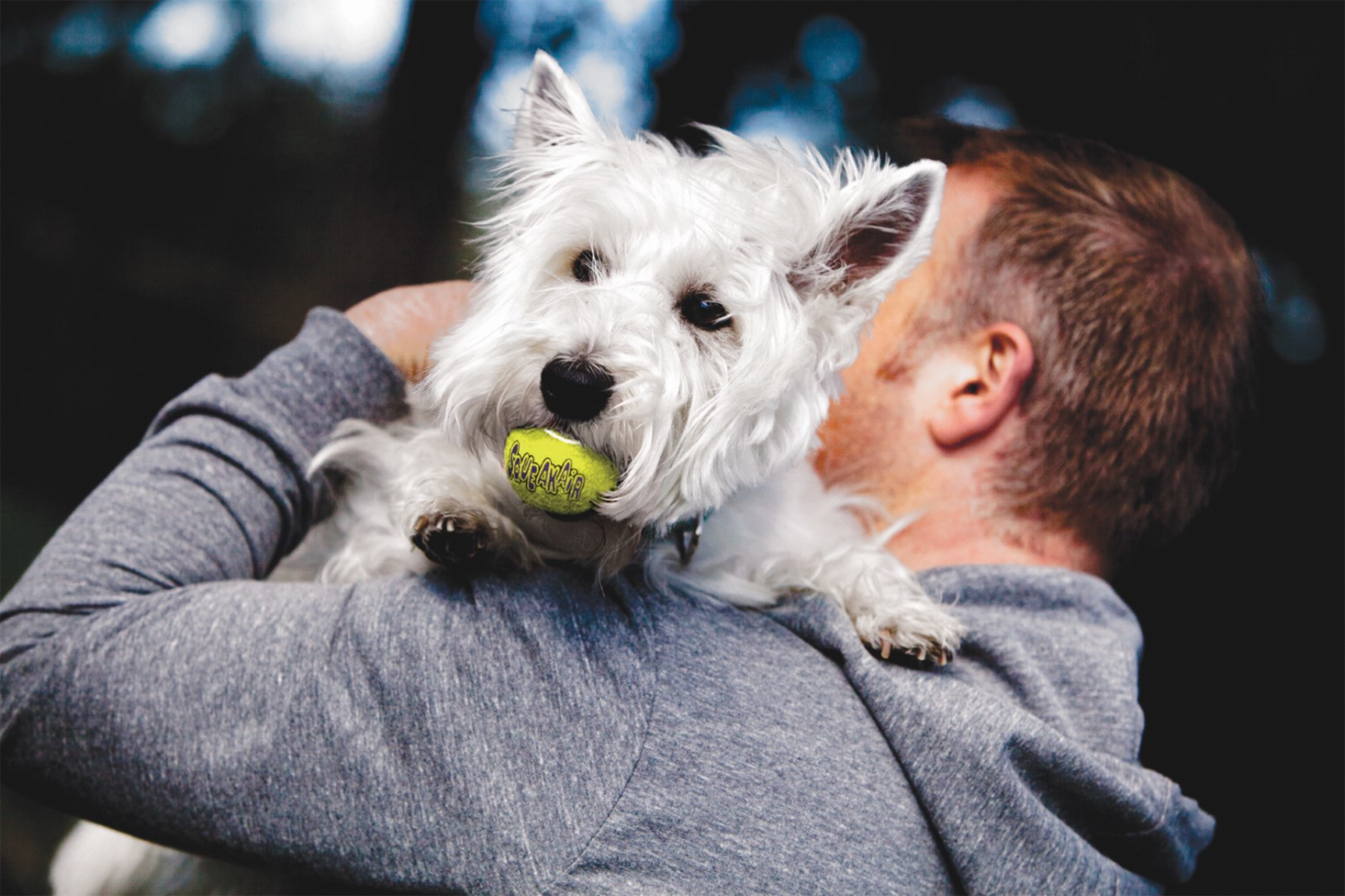 KONG Air Squeaker Tennis Ball S 5 cm 3 pcs.