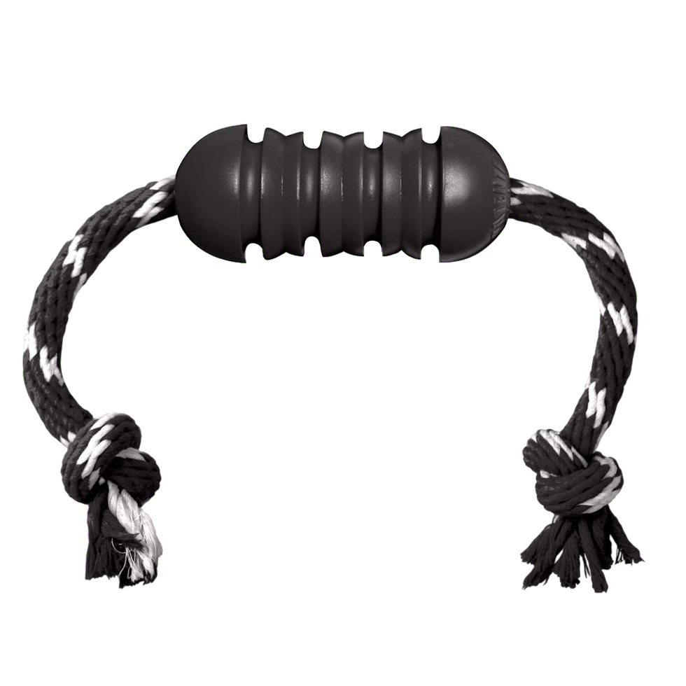 KONG Extreme Dental met touw Md