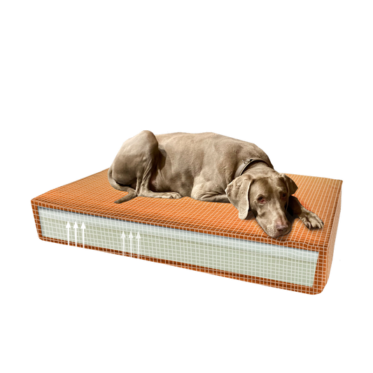 Madison Orthopedisch kussen Velvet oranje S