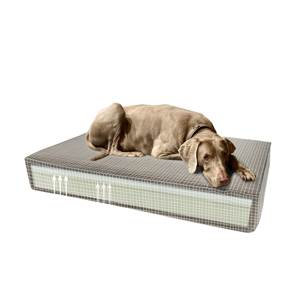Madison Orthopedisch kussen 45 x 55 taupe