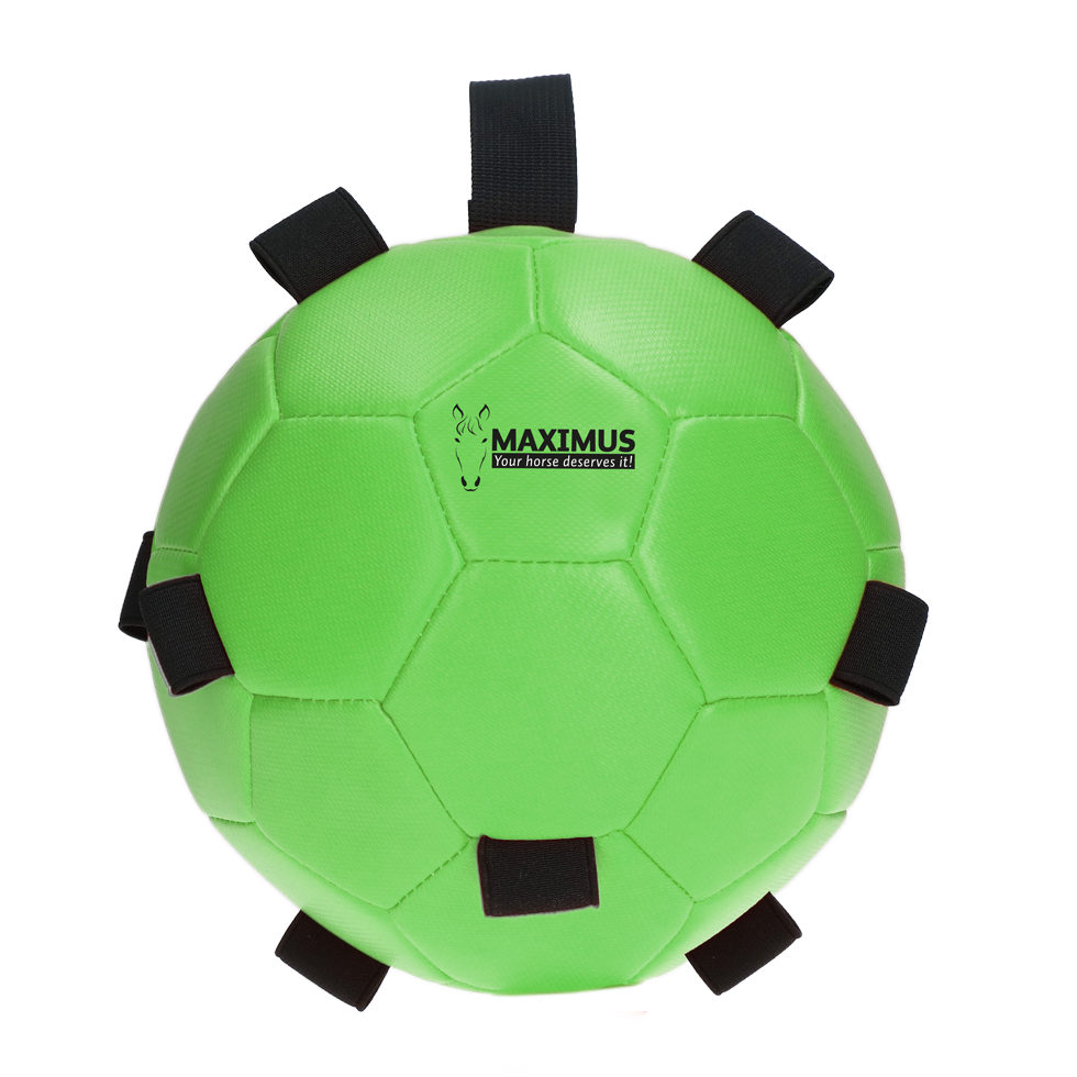 Maximus Fun Play Ball Green