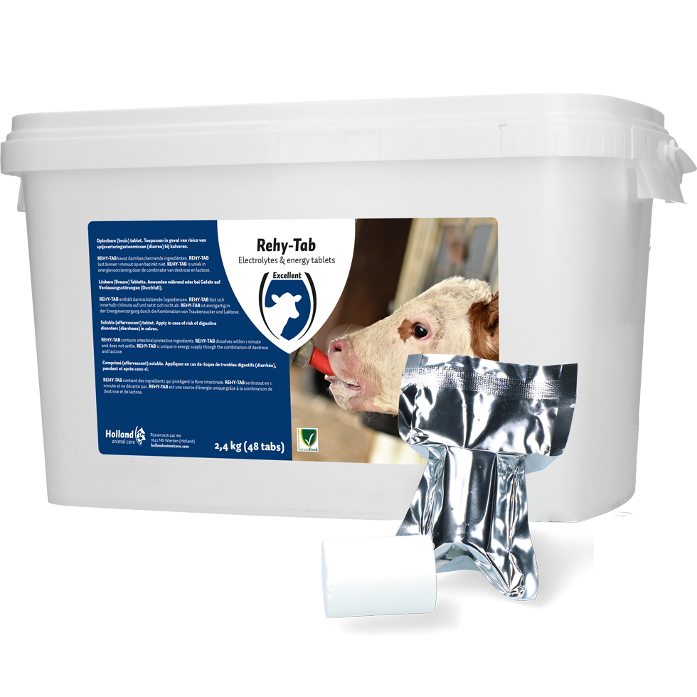 Rehy-Tab Plus (Bruistablet diarree) 48 tabl