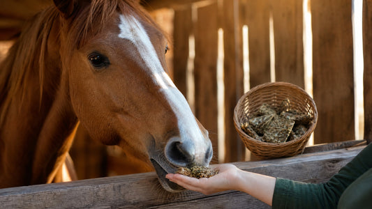Paardenkoekjes Zonder Suiker Kopen: Gezonde Traktatie