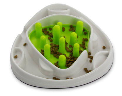 AFP Interactives - Food Maze