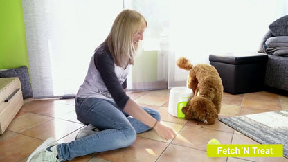 AFP Interactives Fetch'N'Treat Original