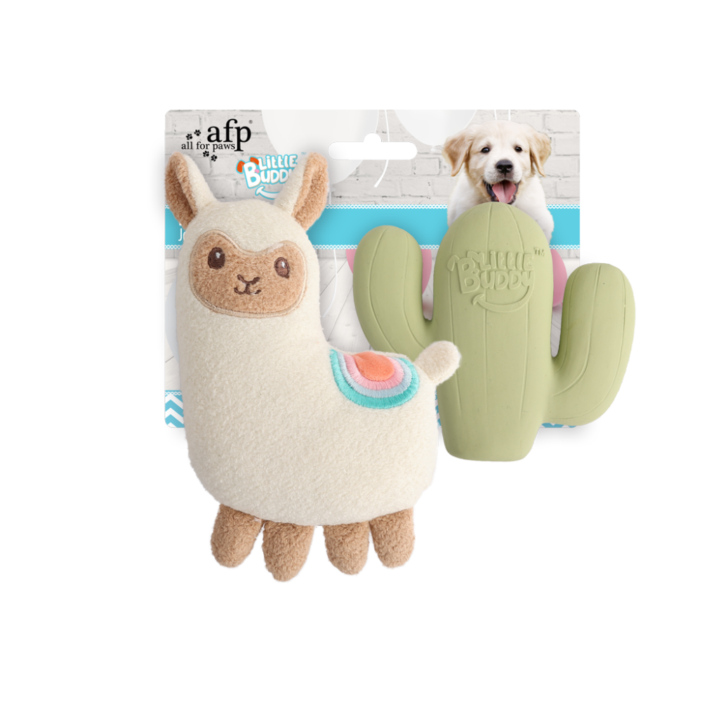 AFP Little Buddy 2-Pack Toy Fiesta