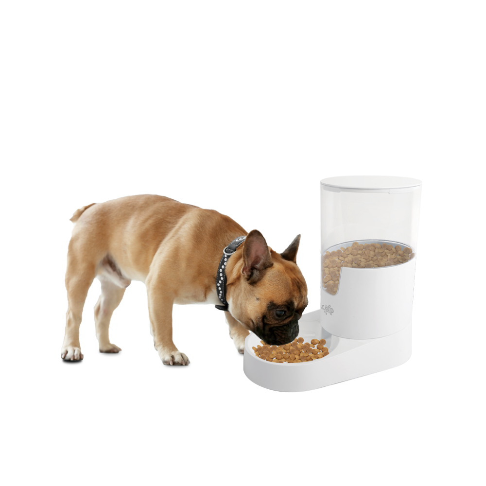 AFP Lifestyle 4 Pets Gravity Pet Food Feeder