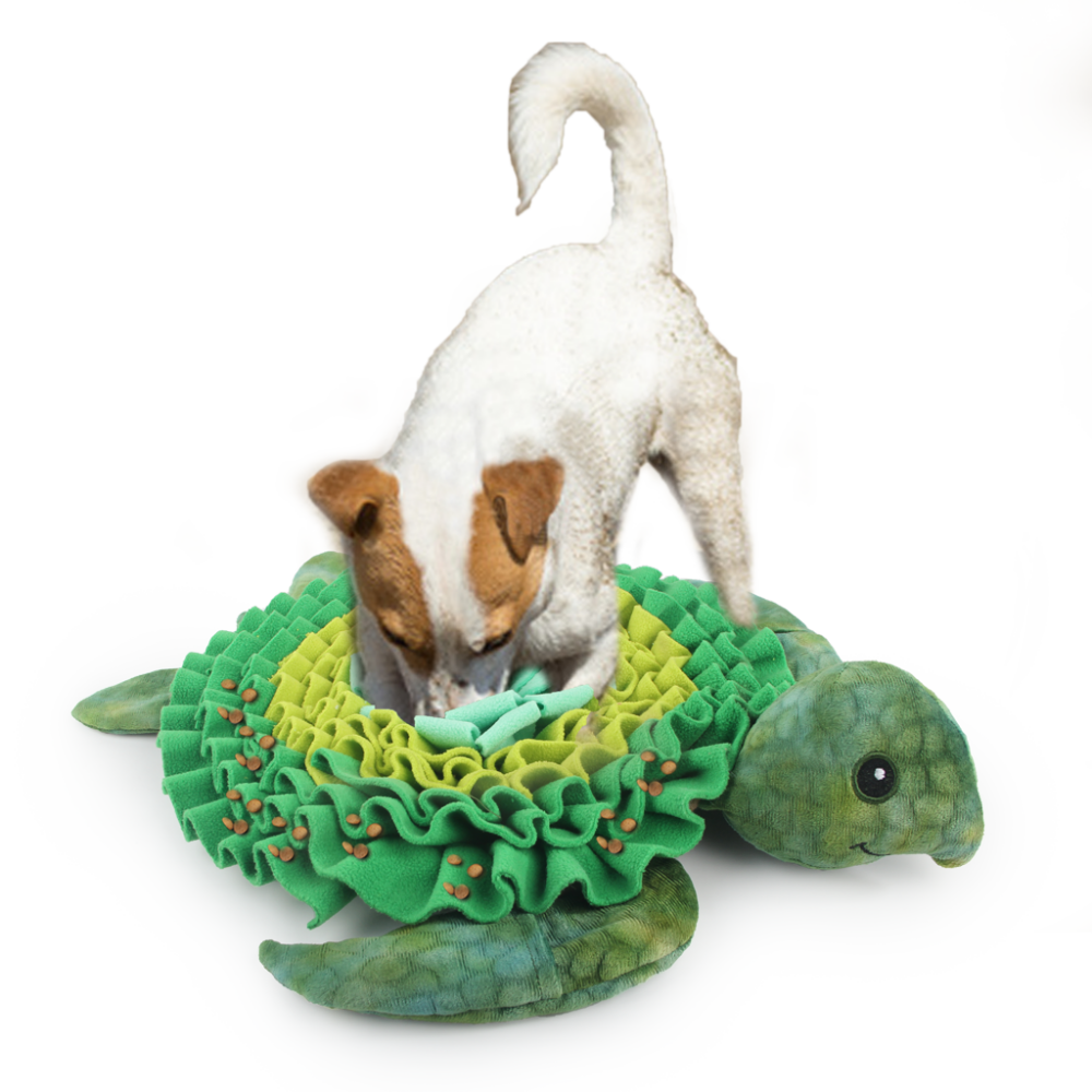 AFP  Dig It - Treat Mat Zeeschildpad