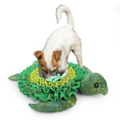 AFP  Dig It - Treat Mat Zeeschildpad