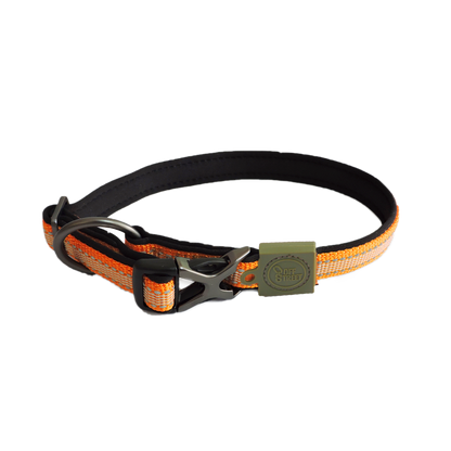 AFP Off Street - Dog Collar Mandarijn L