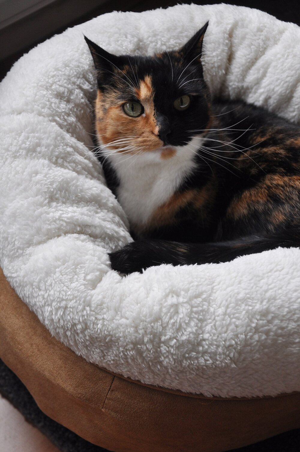 AFP Lambswool - Donut Bed Beige