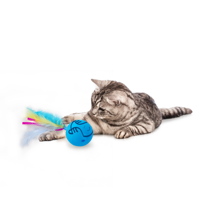 AFP Mordern cat - Dizzy Spinner