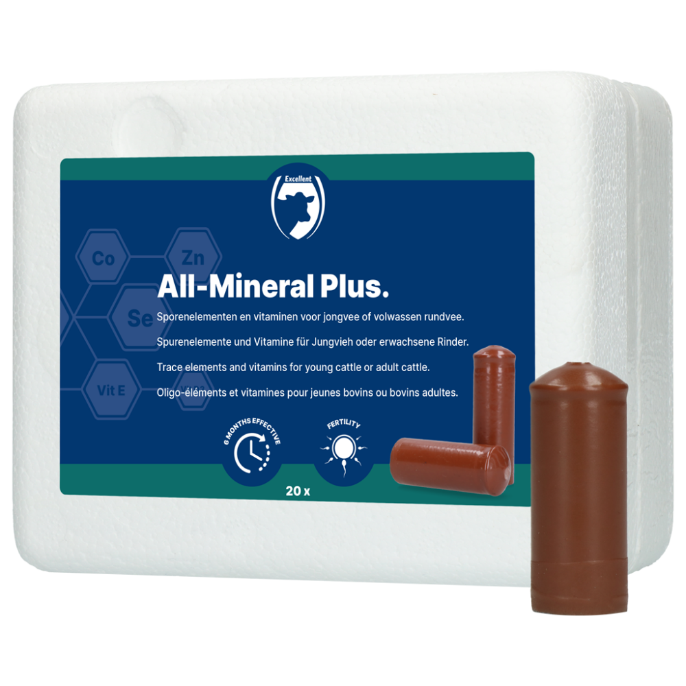 Excellent All-Mineral Plus 20 st