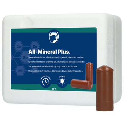 Excellent All-Mineral Plus 20 st