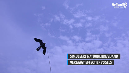 Birdshield Vlieger