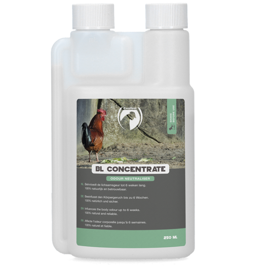 Excellent BL Concentraat