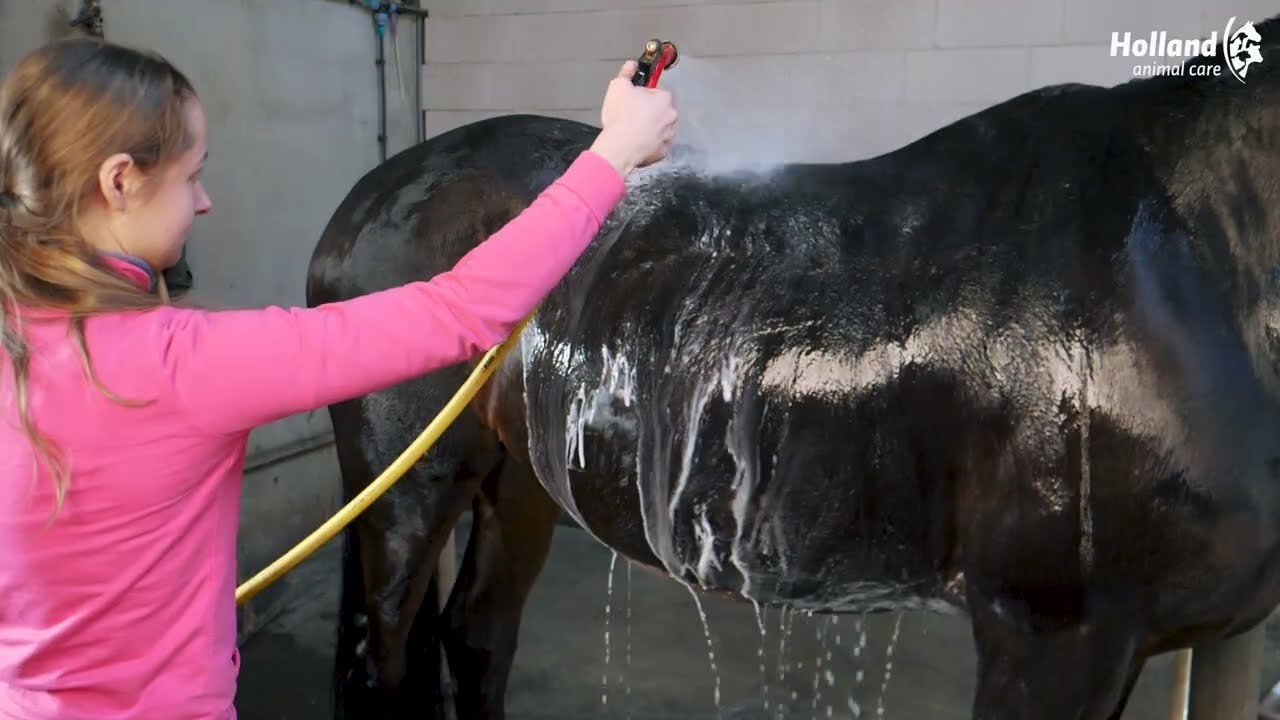 Excellent Horse Grooming Brush M Roze
