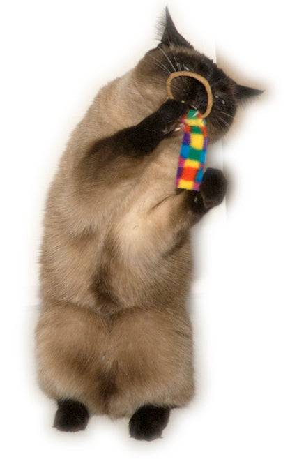 Cat Dancer Ring Tail Chasers (2-Pack)