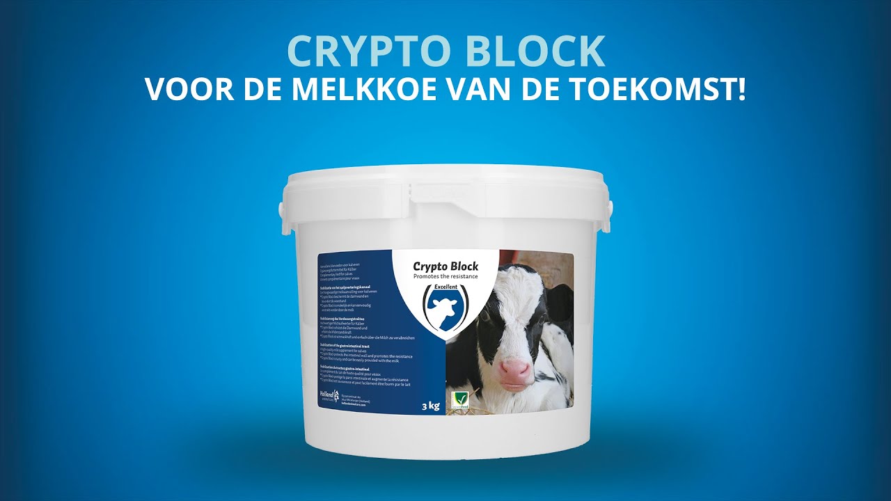 Excellent Crypto Block 2,4 kg
