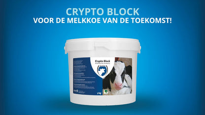 Excellent Crypto Block 2,4 kg