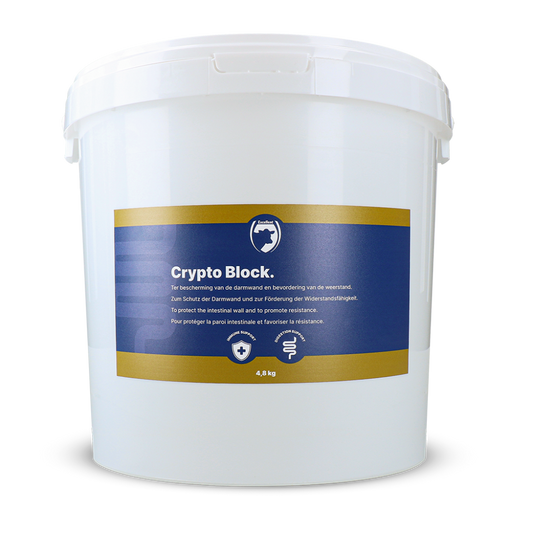 Excellent Crypto Block 4,8 kg