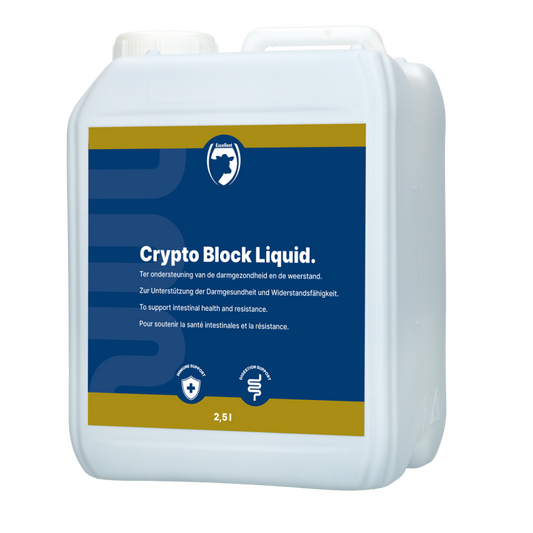 Excellent Crypto Block Liquid 2,5L