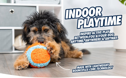 Chuckit! Indoor Roller