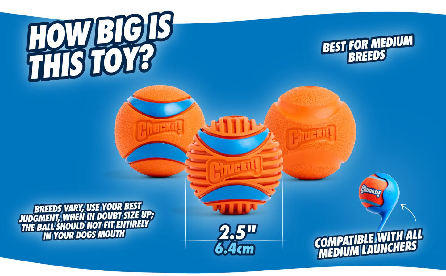 Chuckit! Fetch Ball M