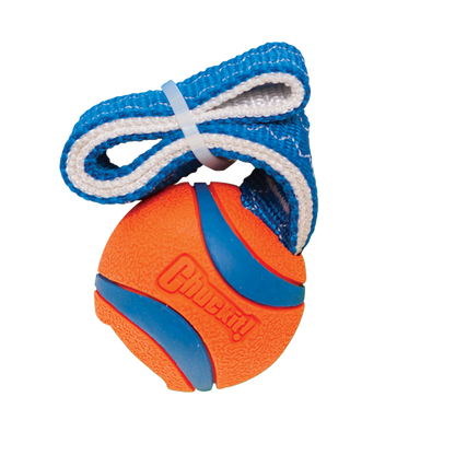 Chuckit! Ultra Tug S